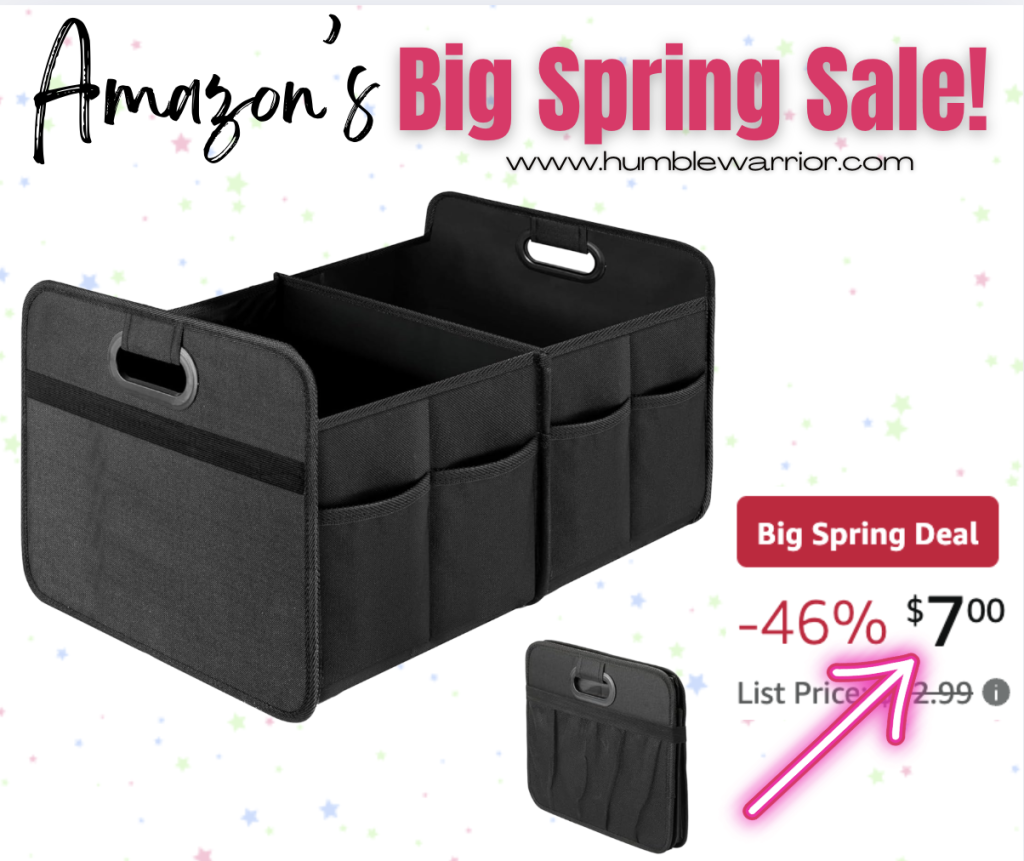 Simple Deluxe Trunk Organizer!